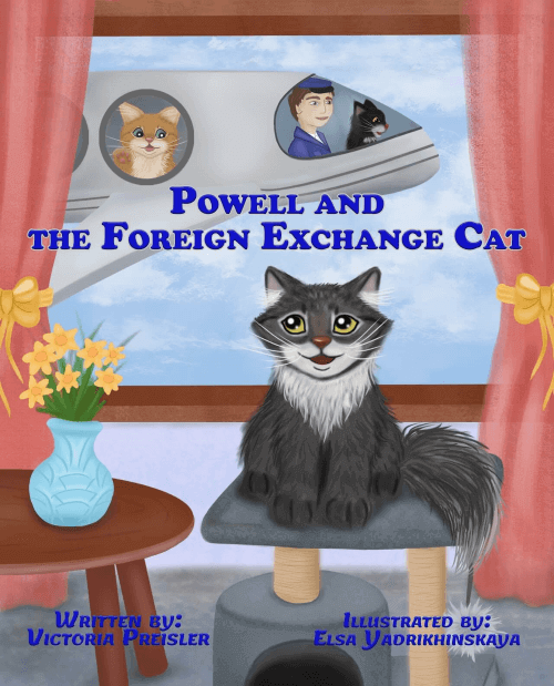 cover of book